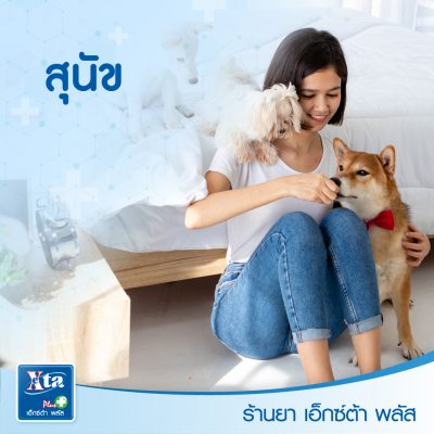 สัตว์บำบัดความเครียด