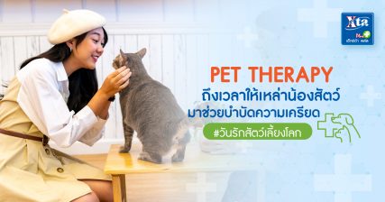 สัตว์บำบัดความเครียด